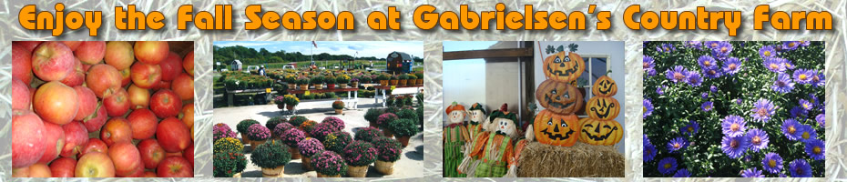 Gabrielsen's Farm